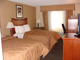 Comfort Inn & Suites room photo 2